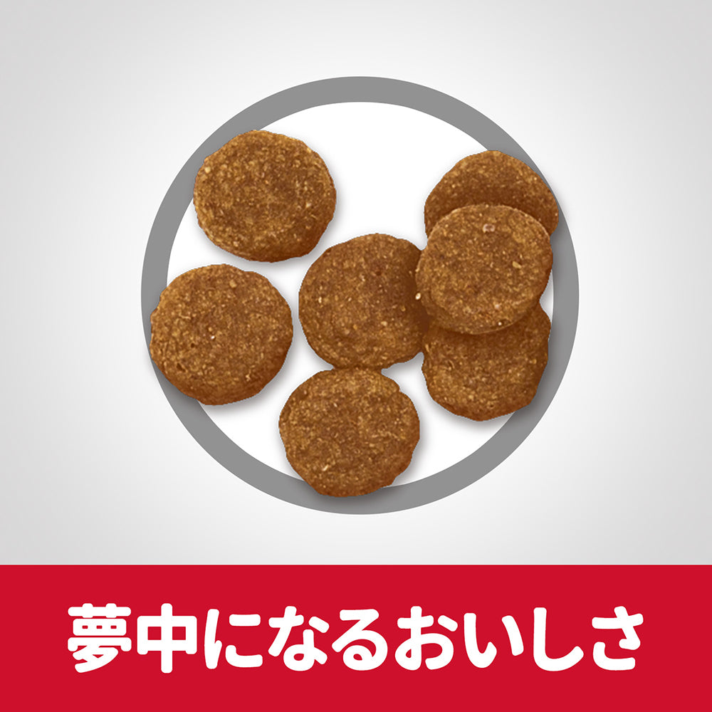 【6.5kg×2袋】ヒルズ サイエンス・ダイエット アダルト 小粒 1~6歳 成犬用 ラム＆ライス 保存容器おまけ付 (犬・ドッグ)