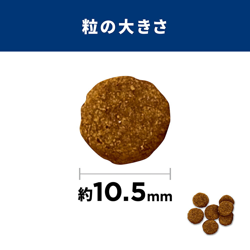 【6.5kg×2袋】ヒルズ サイエンス・ダイエット アダルト 小粒 1~6歳 成犬用 ラム＆ライス 保存容器おまけ付 (犬・ドッグ)