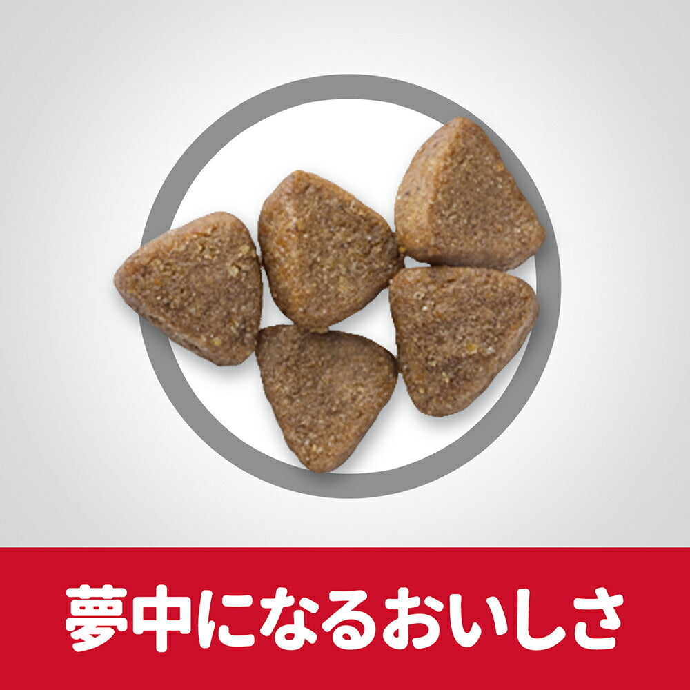 【1.4kg×3袋】ヒルズ サイエンス・ダイエット キトン 12ヶ月まで 子猫用/妊娠・授乳期の母猫にも まぐろ (猫・キャット)