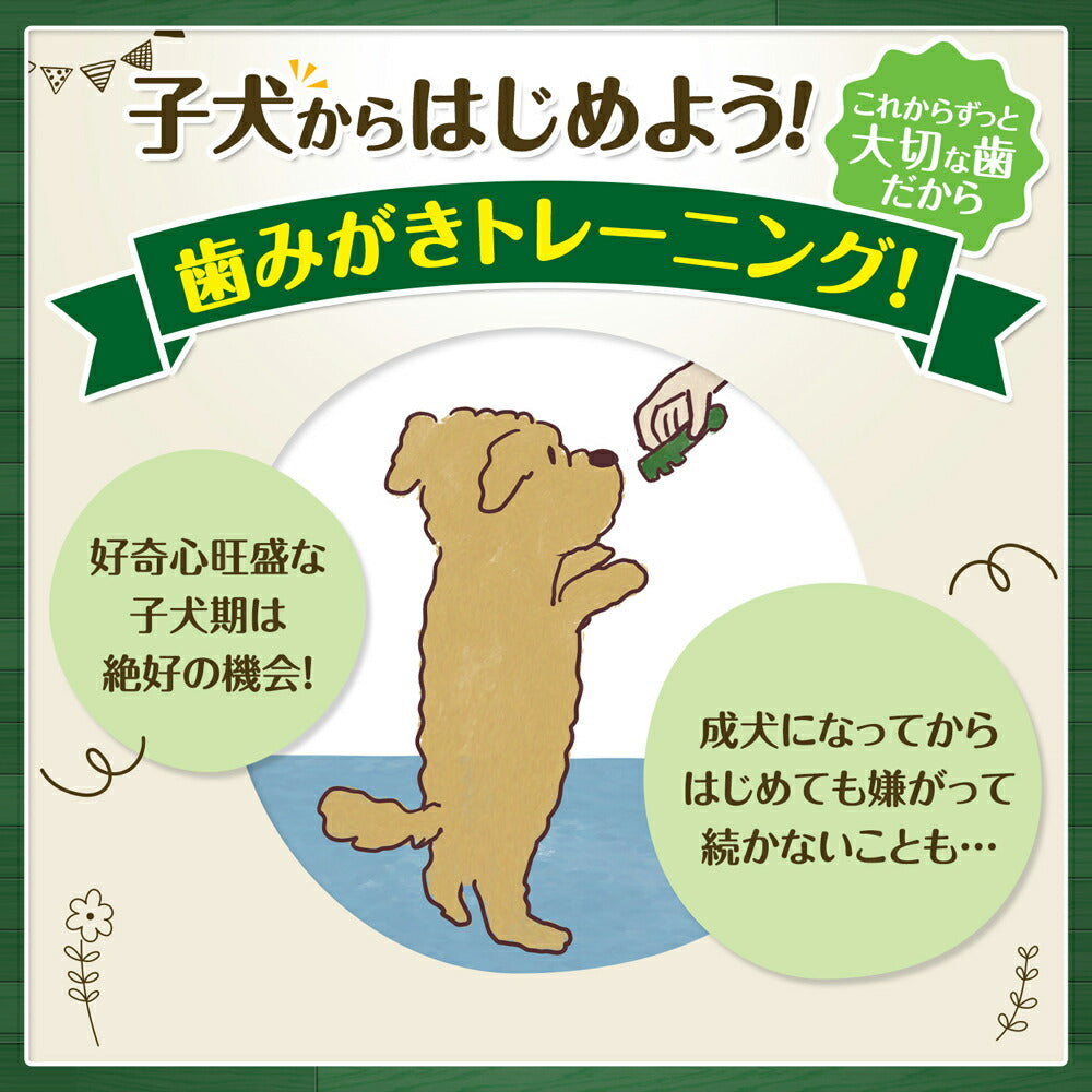 【メール便】【10本×2袋】グリニーズ プラス 子犬用 歯みがきトレーニングガム 10P (犬・ドッグ)[正規品]