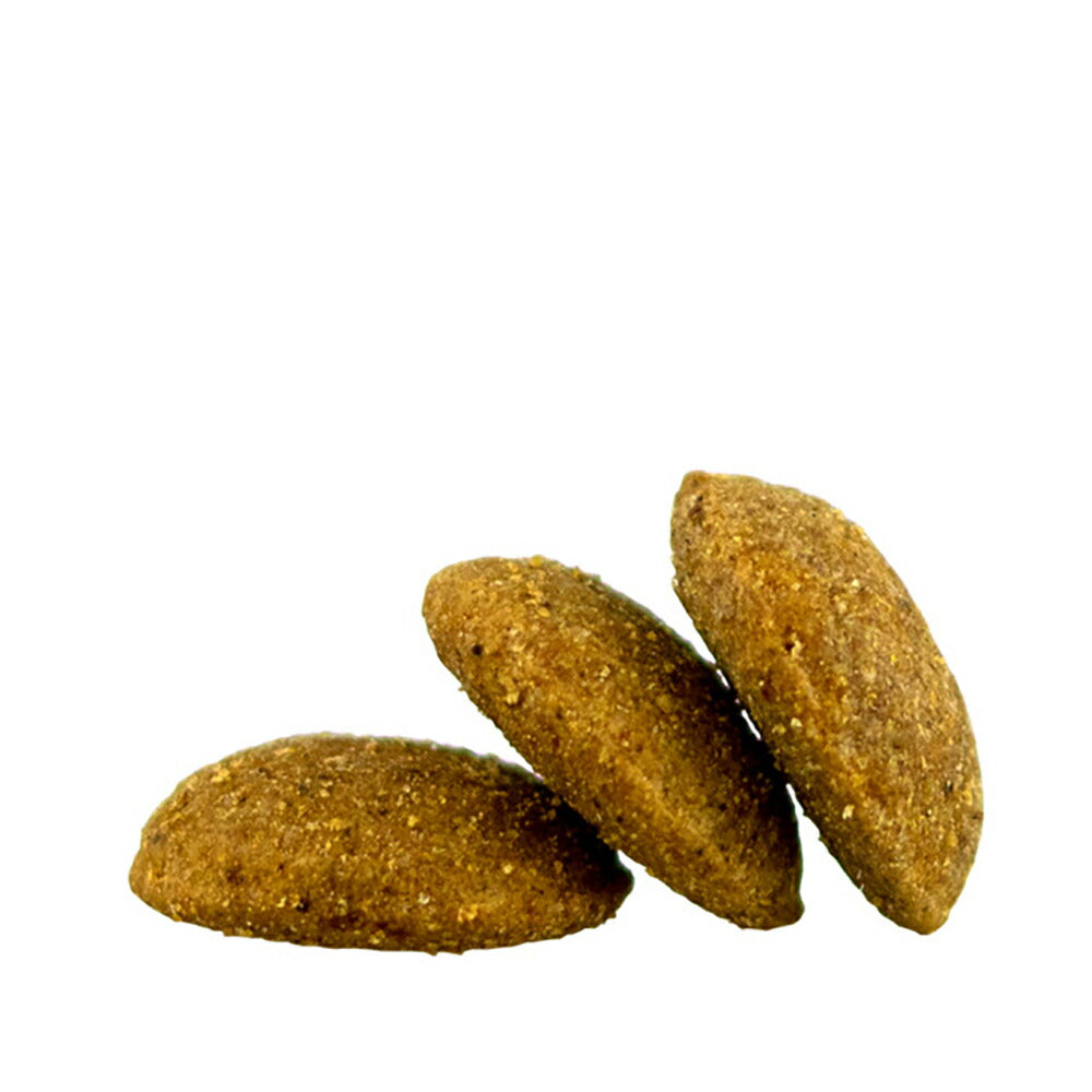 【メール便】【80g×4袋】HAPPY DOG フィット&バイタル ライト カロリーコントロール 中・大型犬 成犬用(犬・ドッグ)[正規品]