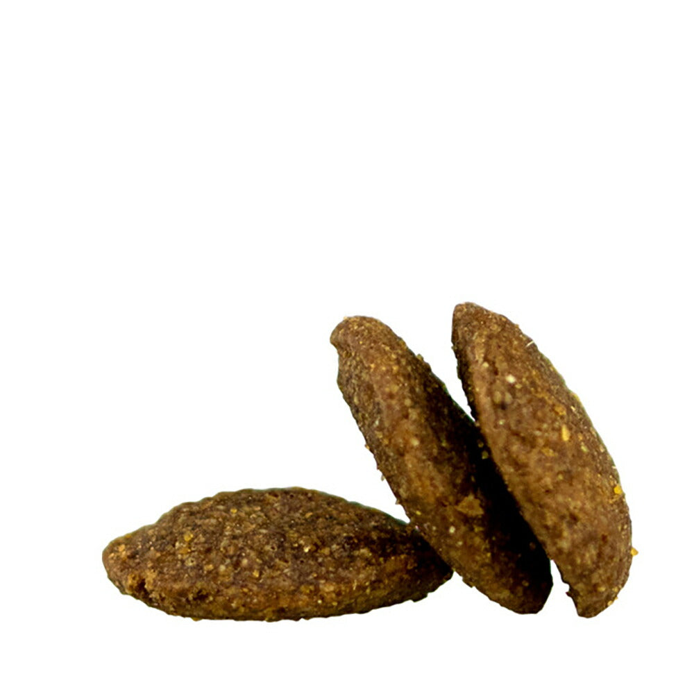 【メール便】【80g×4袋】HAPPY DOG フィット&バイタル シニア 中・大型犬 高齢犬用(犬・ドッグ)[正規品]