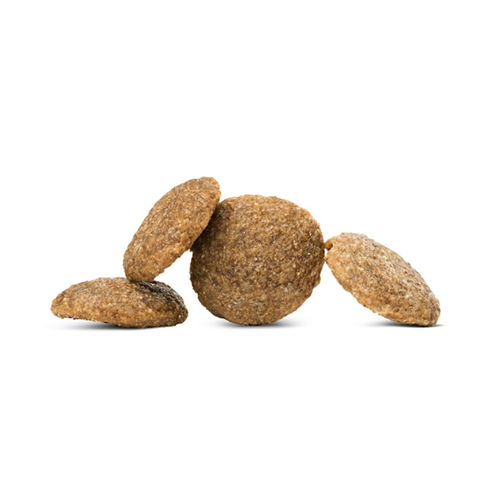 【メール便】【80g×4袋】HAPPY DOG VET インテスティナル ローファット 消化器ケア 全犬種 成犬～シニア犬用 療法食 (犬・ドッグ)[正規品]