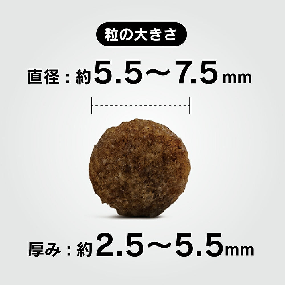 【メール便】【80g×4袋】HAPPY DOG ミニ センシブル パピー ラム&ライス 小型犬 子犬用(犬・ドッグ)[正規品]