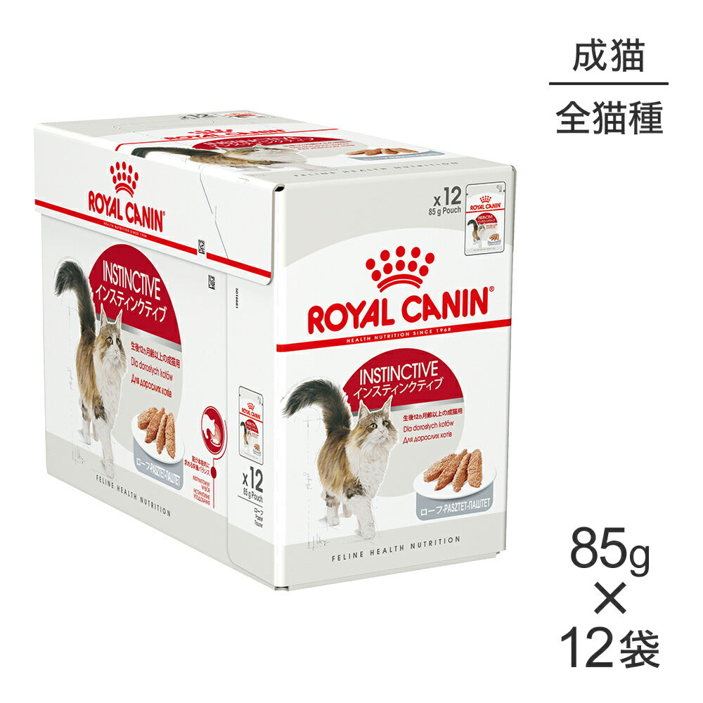 【85g×12袋】ロイヤルカナン FHN-WET インスティンクティブ ローフ 健康的な成猫用 生後12ヵ月齢以上 パウチ (猫・キャット)[正規品]