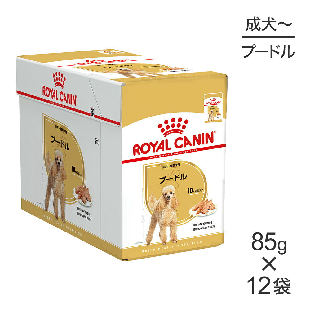  CANIN エイジングケア 85g12袋入り✖️４箱　48袋 7歳になったら食事を変えよう | ベッツホームデリバリー | ロイヤル