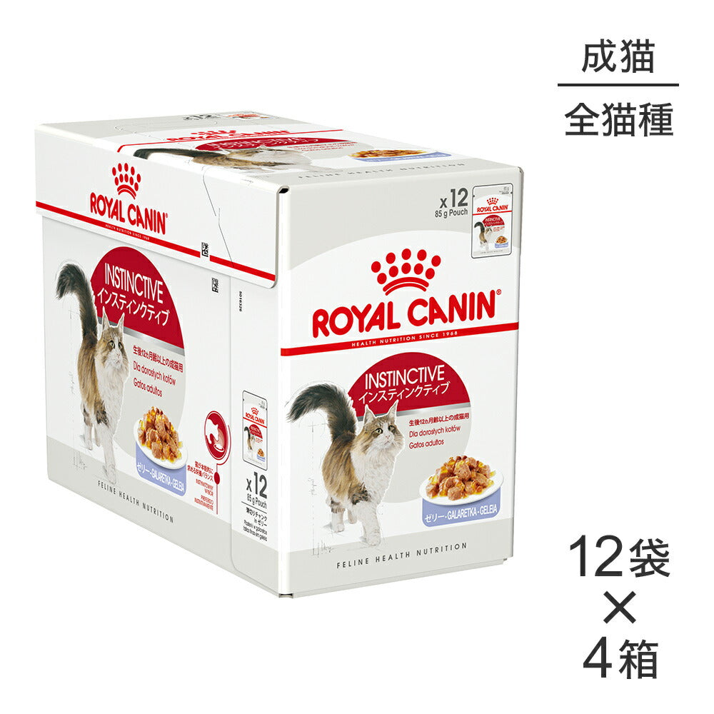 【85g×48袋】ロイヤルカナン FHN-WET インスティンクティブ ゼリー 健康的な成猫用 生後12ヵ月齢以上 パウチ (猫・キャット)[正規品]