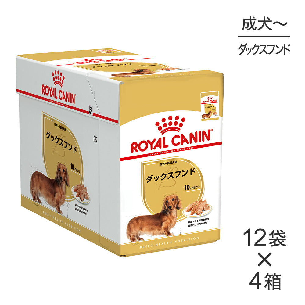 【85g×48袋】ロイヤルカナン BHN-WET ダックスフンド 成犬～高齢犬用 生後10ヵ月齢以上 パウチ (犬・ドッグ)[正規品]