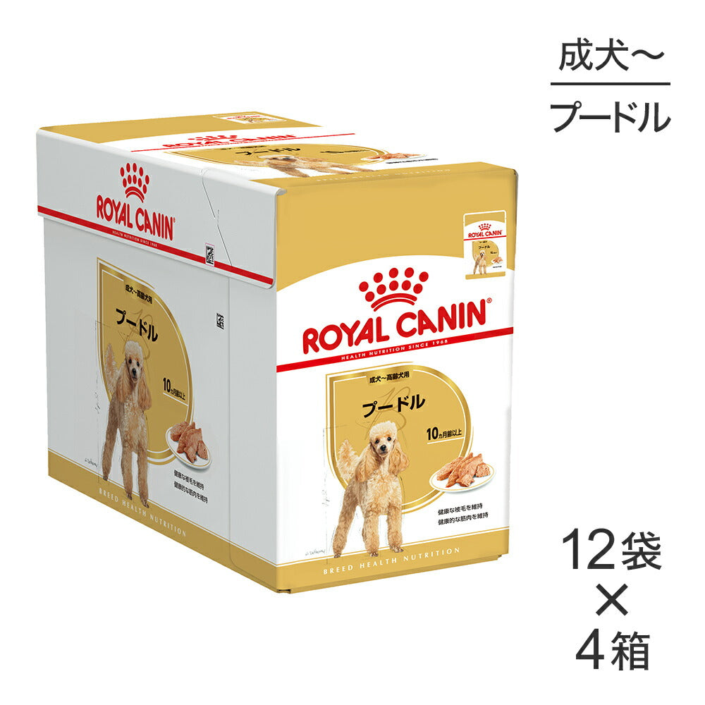【85g×48袋】ロイヤルカナン BHN-WET プードル 成犬～高齢犬用 生後10ヵ月齢以上 パウチ (犬・ドッグ)[正規品]