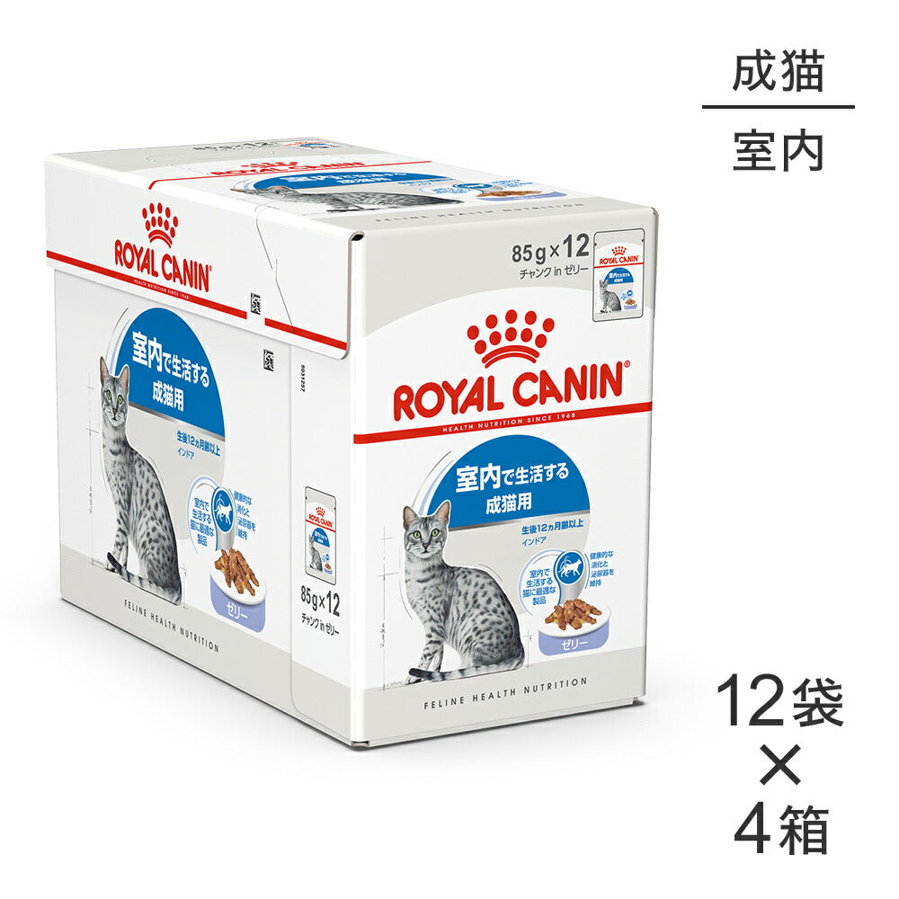 【85g×48袋】ロイヤルカナン FHN-WET インドア ゼリー 室内で生活する成猫用 生後12ヵ月齢以上 パウチ (猫・キャット)[正規品]