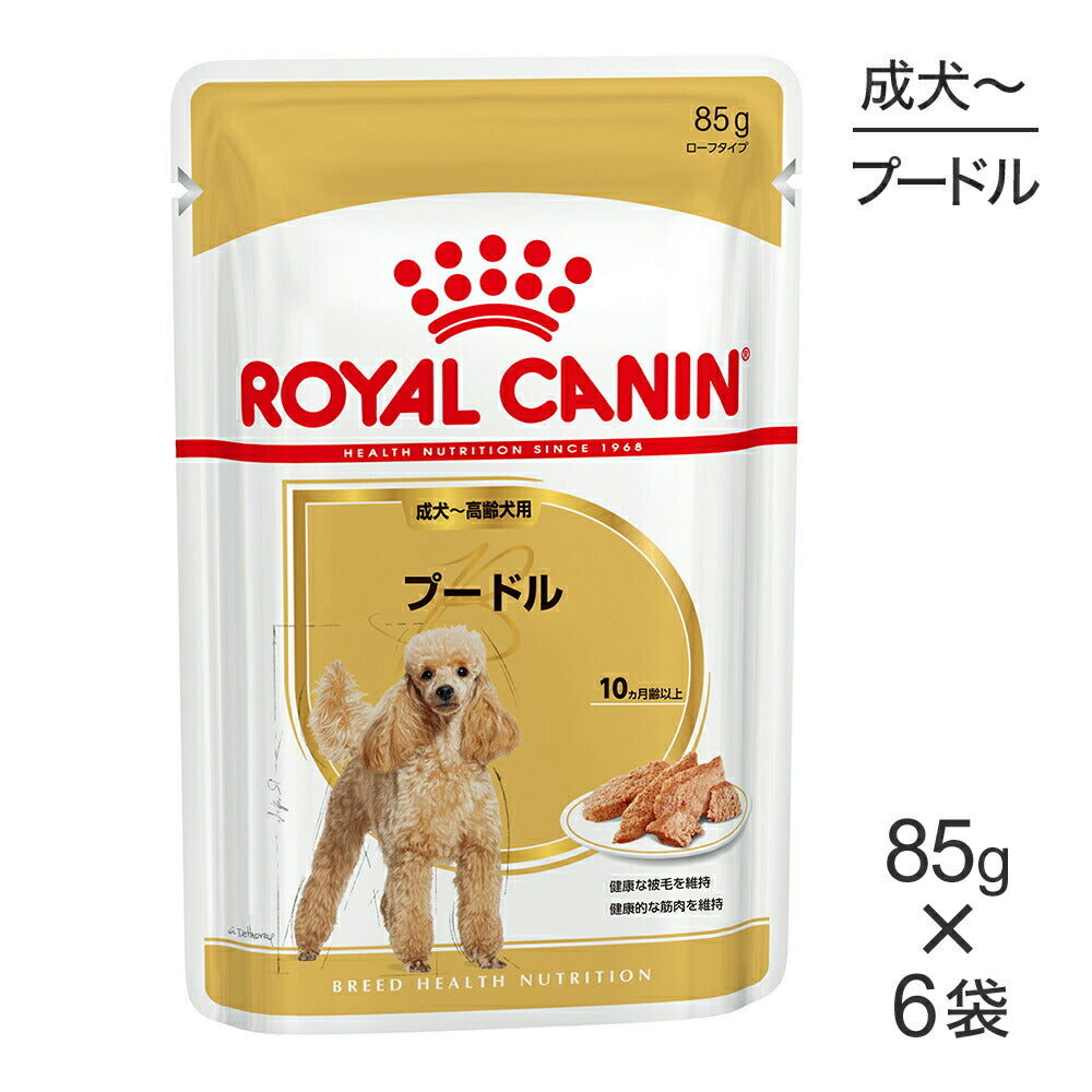 【メール便】【85g×6袋】ロイヤルカナン BHN-WET プードル 成犬～高齢犬用 生後10ヵ月齢以上 パウチ (犬・ドッグ)[正規品]