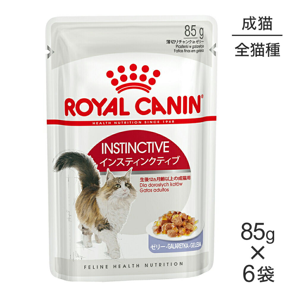 【メール便】【85g×6袋】ロイヤルカナン FHN-WET インスティンクティブ ゼリー 健康的な成猫用 生後12ヵ月齢以上 パウチ (猫・キャット)[正規品]