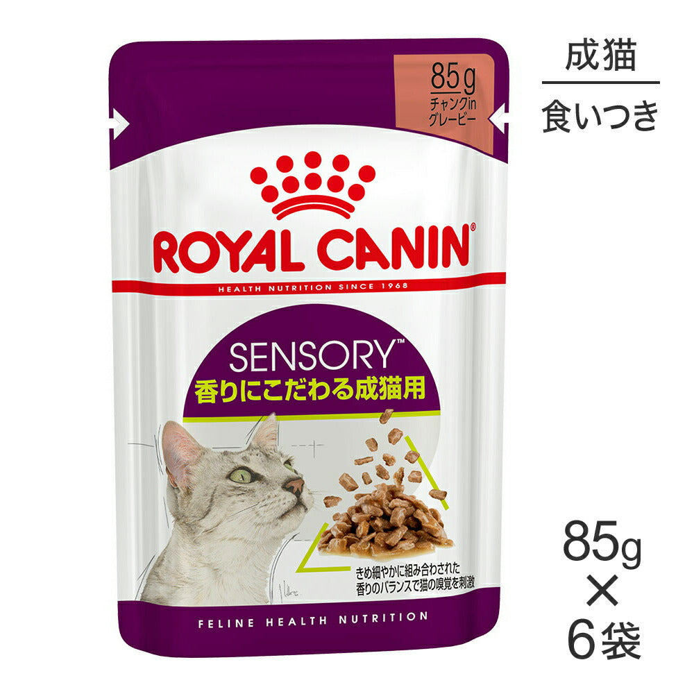 ロイヤルカナン ウェットフードグレービー46袋 キトン グレービー（子猫用 ウェット） | Royal Canin jp-shop
