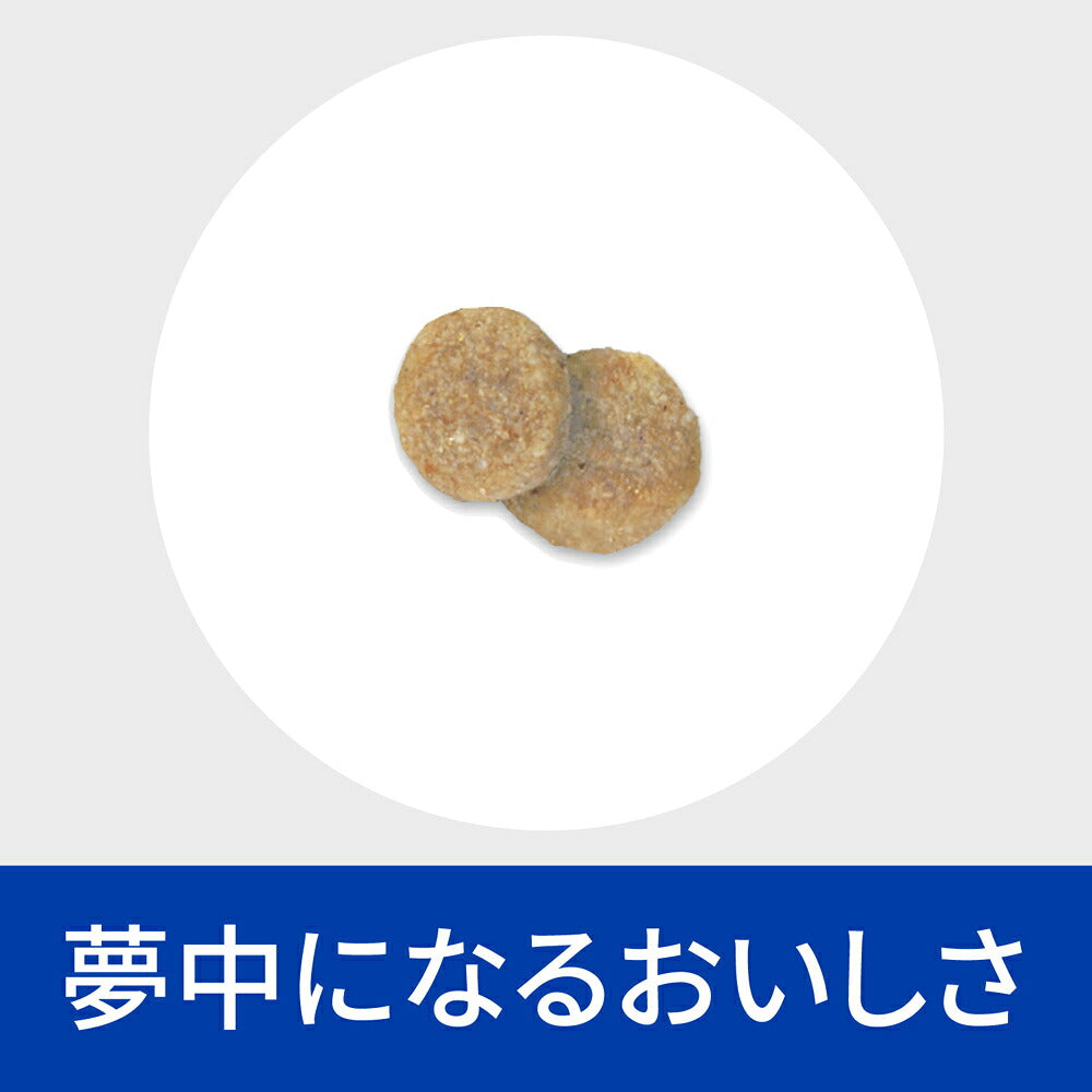 【1kg×3袋】ヒルズ k/d 腎臓ケア 療法食 (犬・ドッグ)
