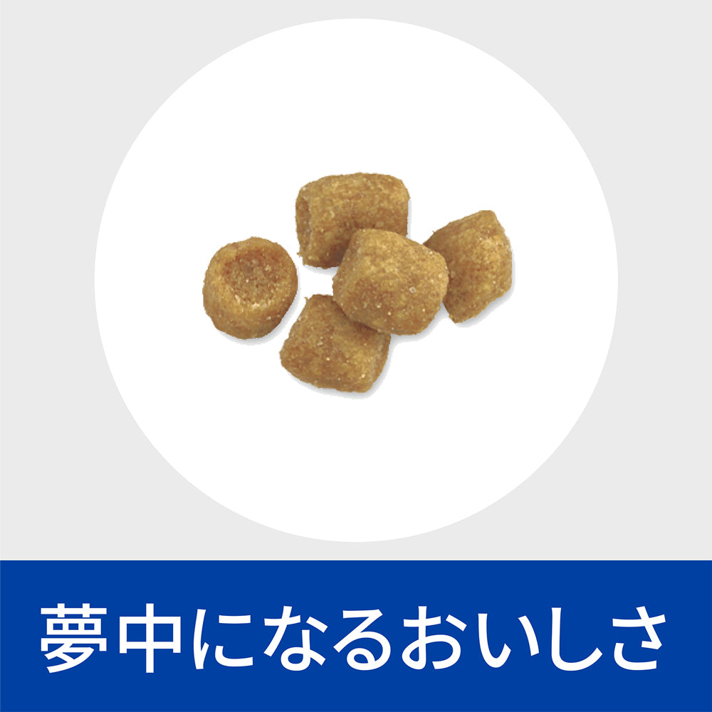【4kg×2袋】ヒルズ c/d マルチケア 尿ケア フィッシュ入り 療法食 保存容器おまけ付 (猫・キャット)[正規品]