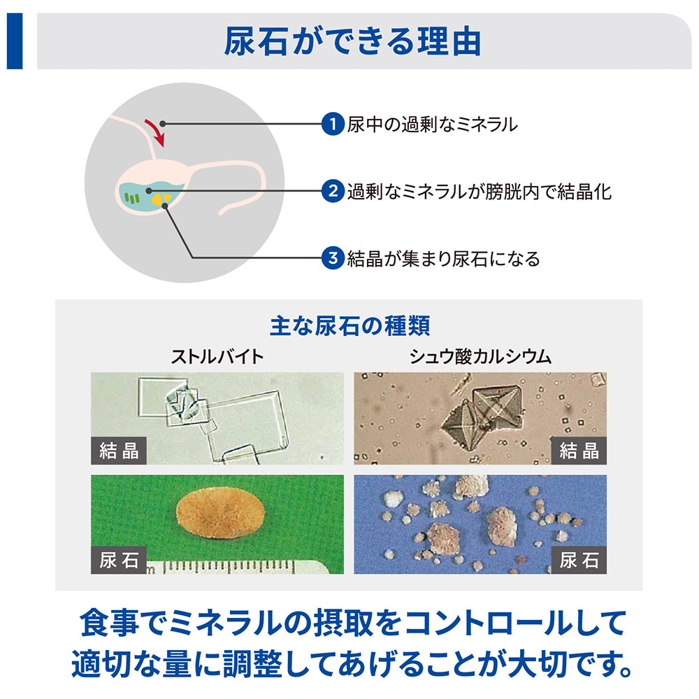 【4kg×2袋】ヒルズ c/d マルチケア コンフォート 尿ケア チキン 療法食 保存容器おまけ付 (猫・キャット)[正規品]