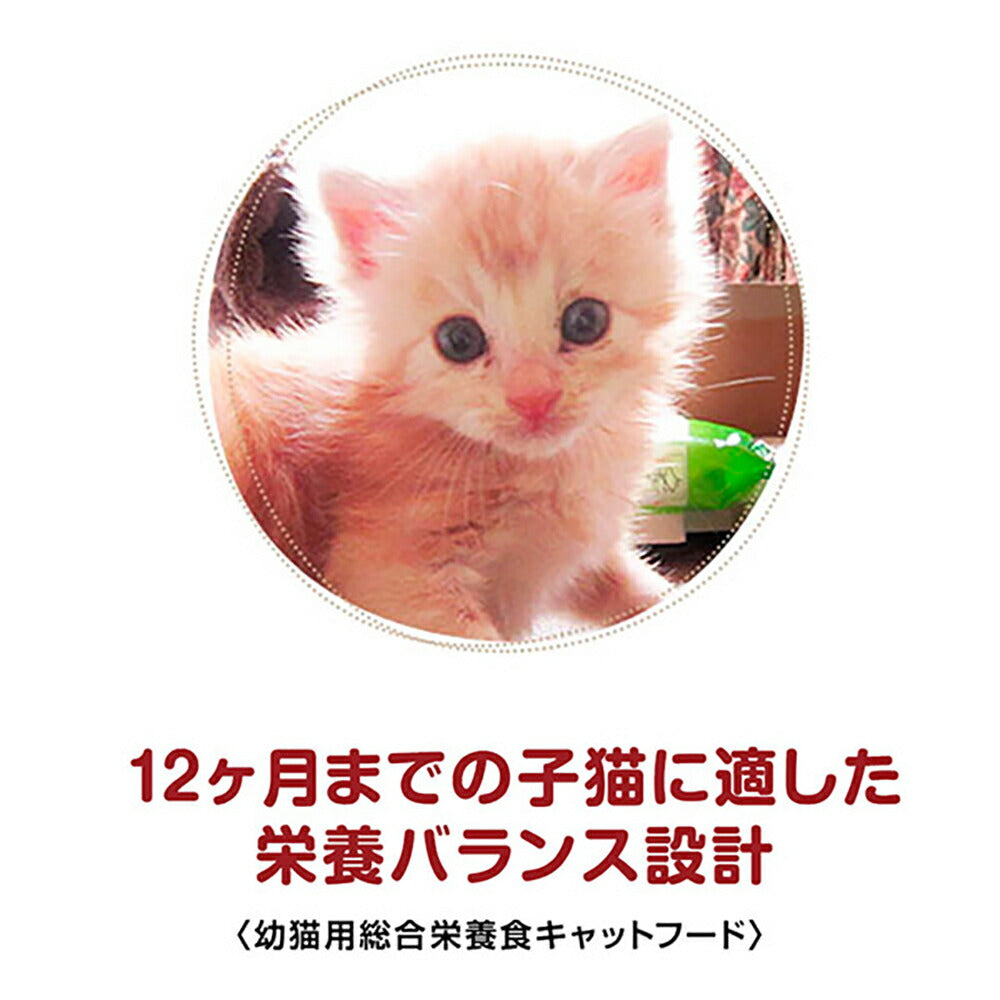 【35g×160袋】ユニ・チャーム 銀のスプーン 三ツ星グルメ パウチ フレーク 健康に育つ子ねこ用 まぐろ入りかつお ウェット (猫・キャット)