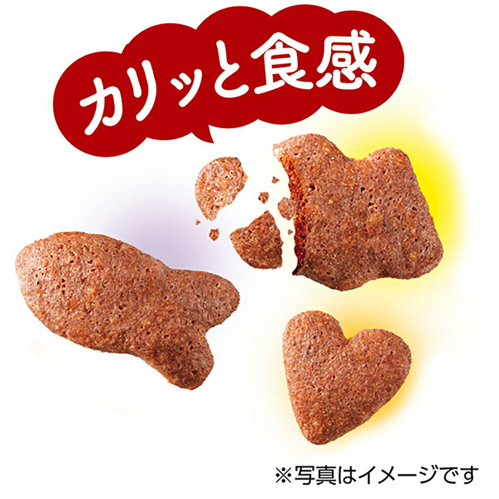 【60g×30袋】ユニ・チャーム 銀のスプーン おいしい顔が見られるおやつ カリカリッチ 腎臓の健康維持用 成猫用 シーフード (猫・キャット)