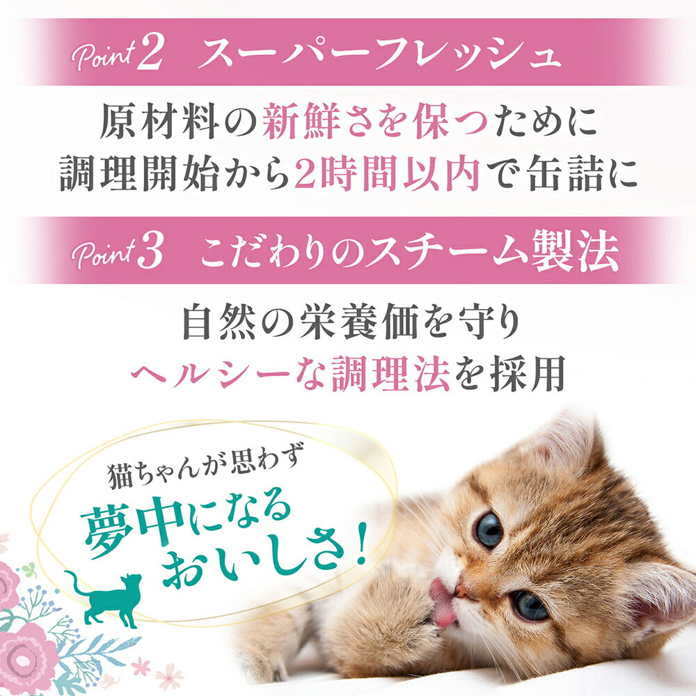 【80g×6缶】ペットプロジャパン HappyDays シェリー Cherie まぐろムース 子猫用 ウェット (猫・キャット)