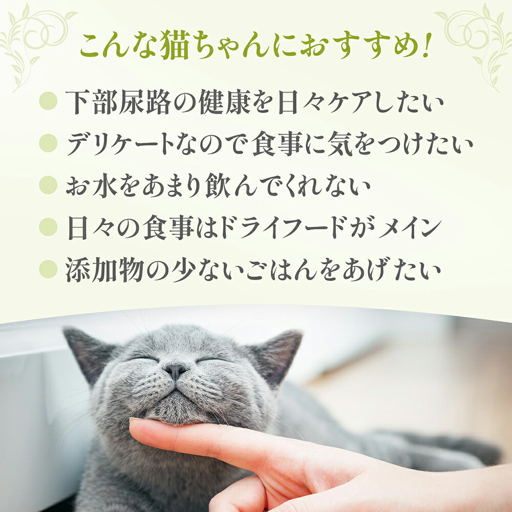 【80g×24缶】ペットプロジャパン HappyDays シェリー Cherie まぐろ＆にんじんinグレービー 下部尿路の健康維持 成猫用 ウェット (猫・キャット)