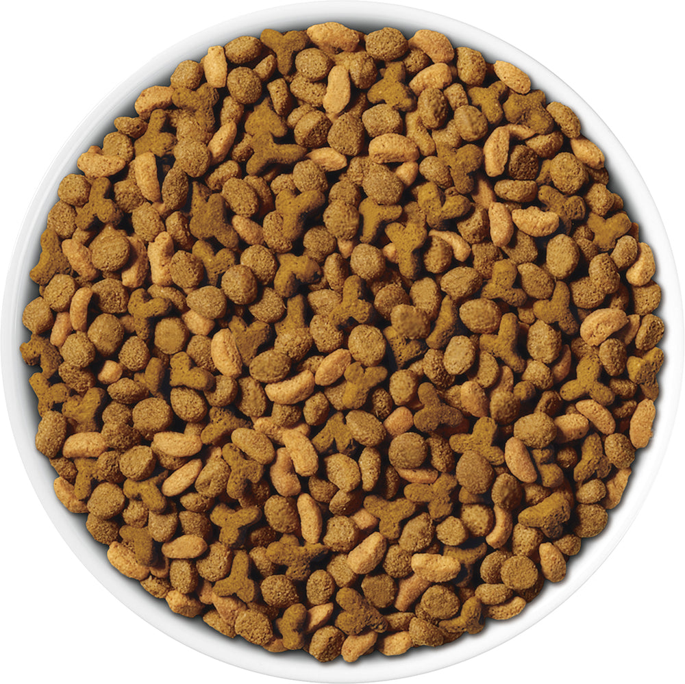 【120g×4袋】ネスレ ピュリナ ワン キャット 高たんぱく 適正な体重を維持 1歳以上 チキン (猫・キャット)[正規品]