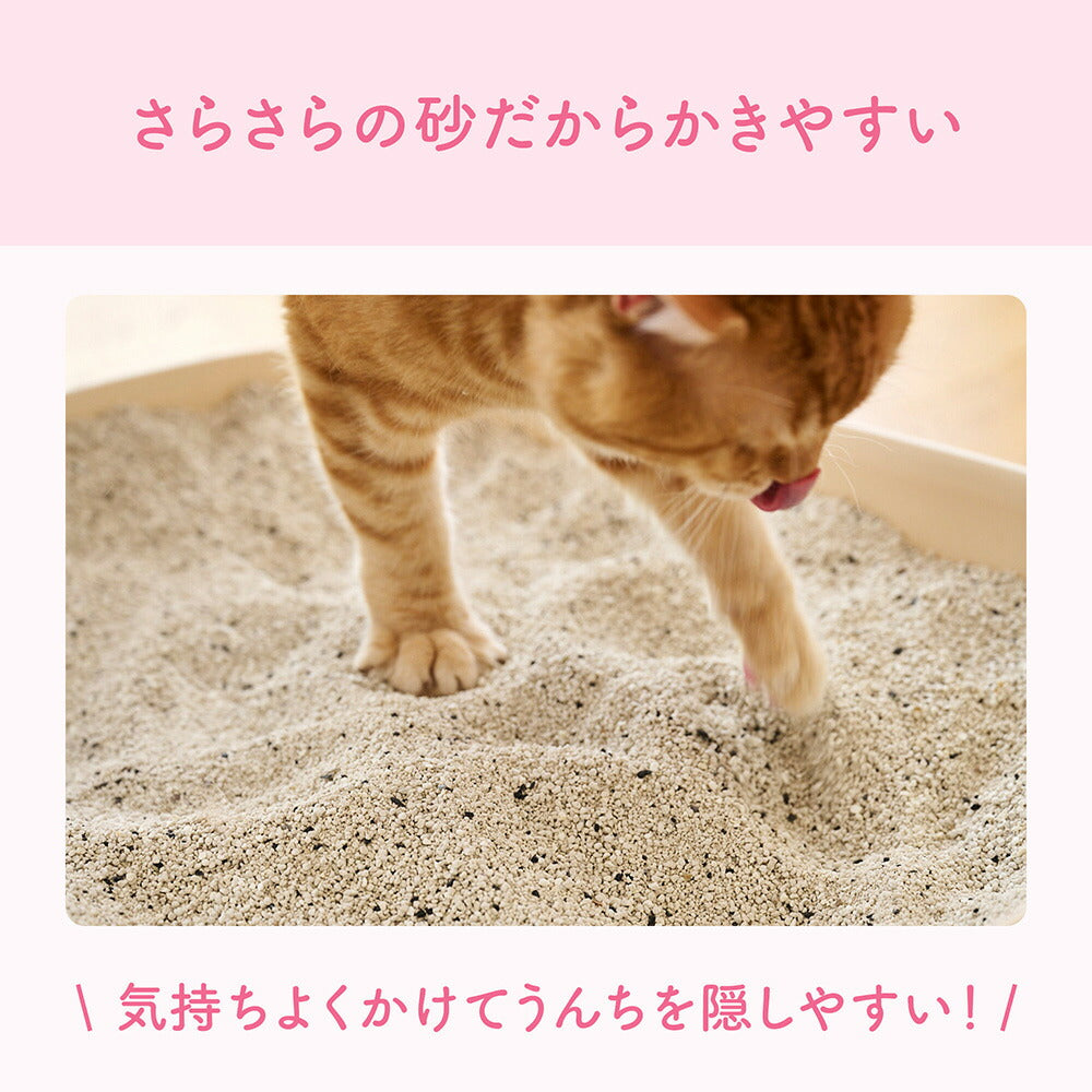 【5L×2袋】キミおもい カチッと固まる ネコ砂 猫砂 (猫・キャット)
