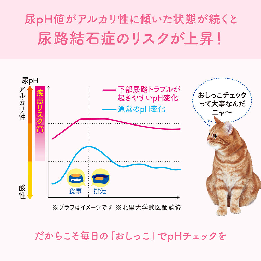 【5L×4袋】キミおもい おしっこチェックできる 固まる紙のネコ砂 猫砂 (猫・キャット)