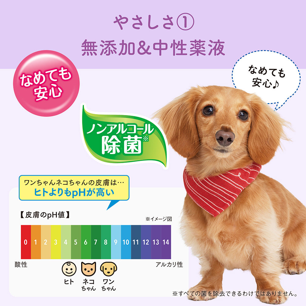 【(60枚×3P)×12袋】キミおもい 肌にやさしいウエットティシュー ノンアルコール除菌 (犬猫兼用)