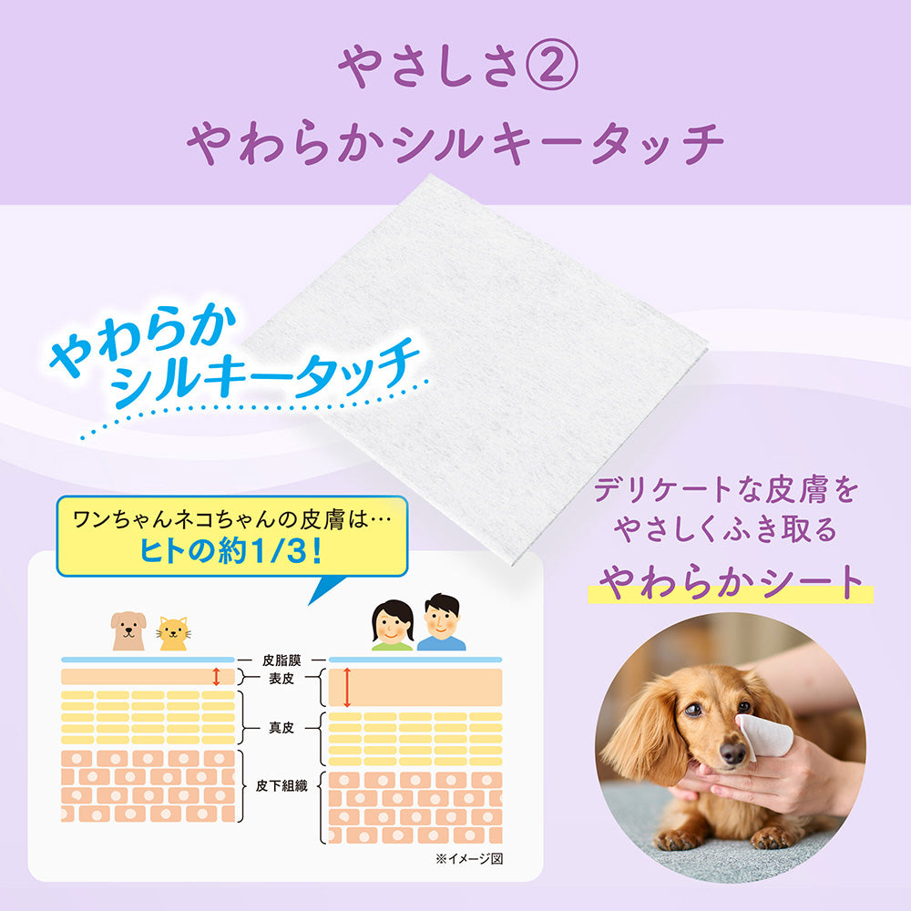【(60枚×3P)×12袋】キミおもい 肌にやさしいウエットティシュー ノンアルコール除菌 (犬猫兼用)