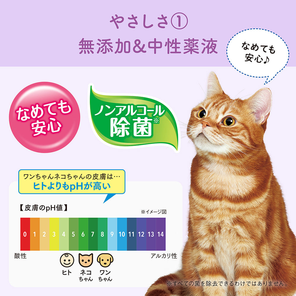【70枚×4袋】キミおもい 徹底キレイおそうじシート ボトル本体 (猫・キャット)