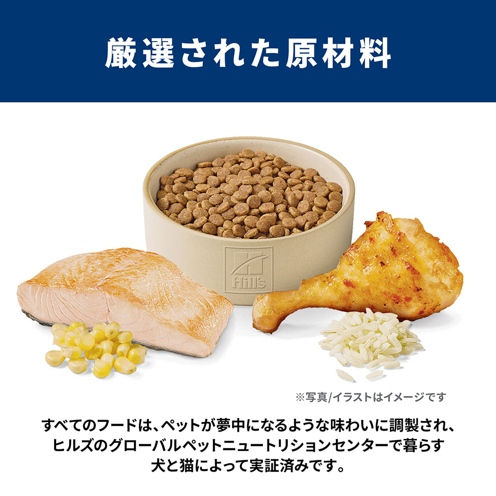【1.4kg×2袋】ヒルズ サイエンス・ダイエット アダルト 1〜6歳 成猫用 チキン＆サーモン (猫・キャット)[正規品]