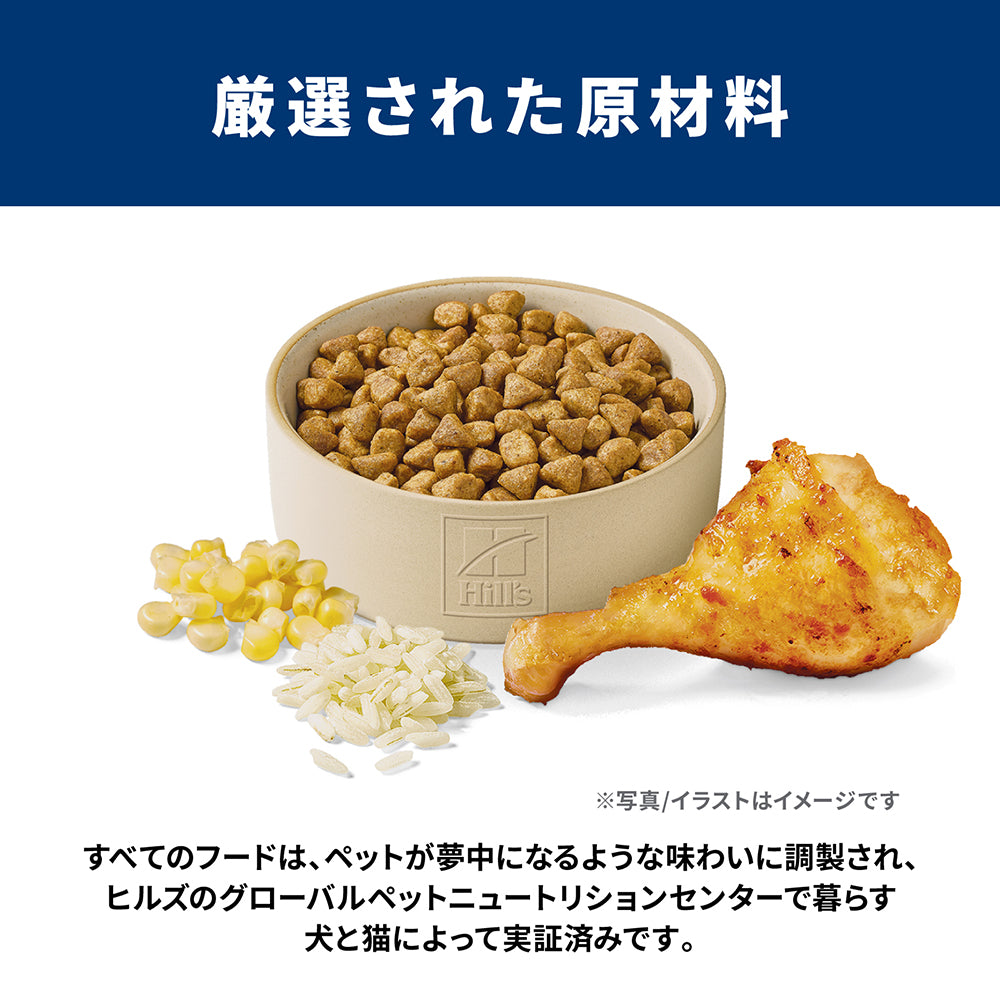 【メール便】【100g×3袋】ヒルズ サイエンス・ダイエット キトン 12ヶ月まで 子猫用/妊娠・授乳期の母猫にも チキン お試し (猫・キャット)