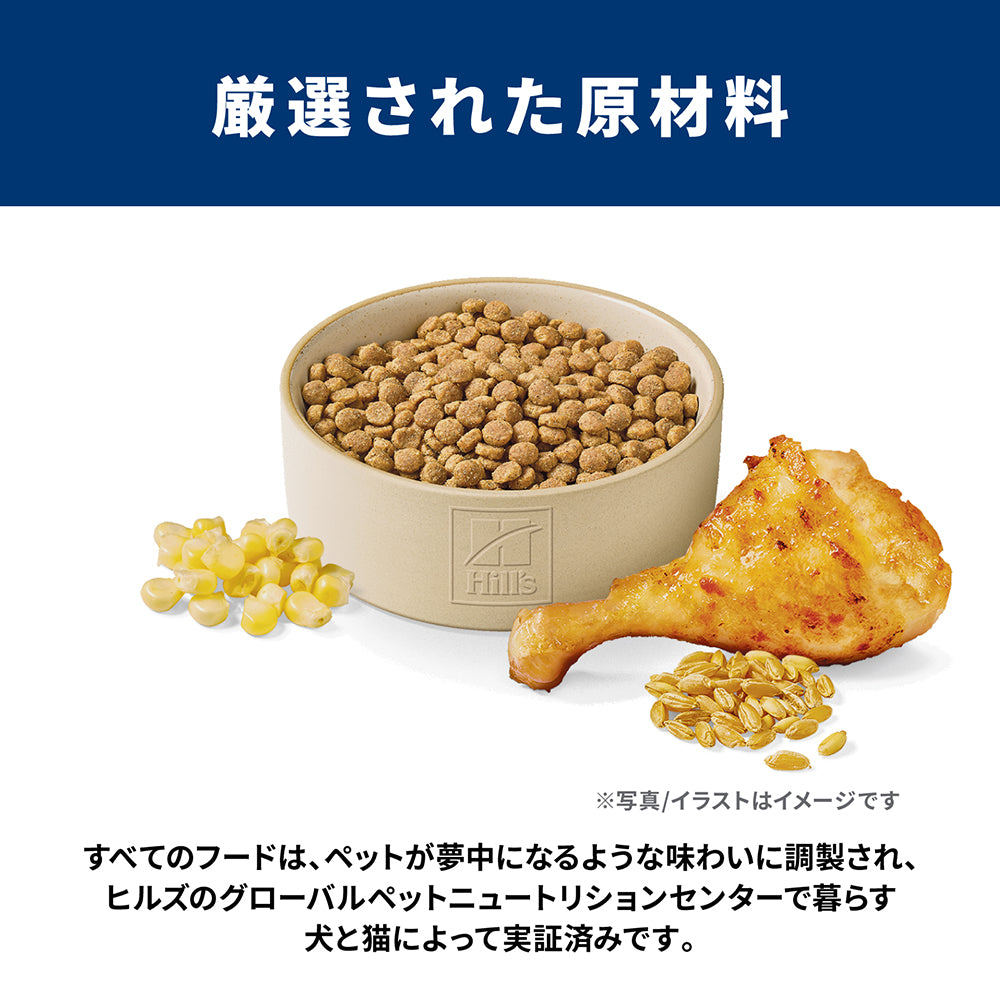 【メール便】【100g×3袋】ヒルズ サイエンス・ダイエット アダルト 1~6歳 成猫用 チキン お試し (猫・キャット)