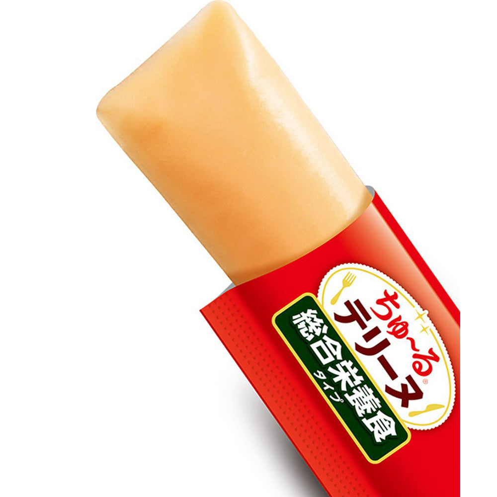 【(15g×4本)×12袋】いなば ちゅ〜るテリーヌ 総合栄養食タイプ まぐろ (犬・ドッグ)