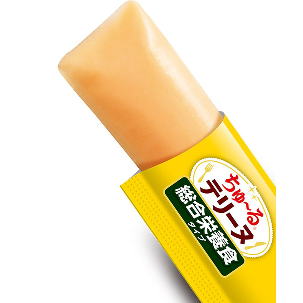 【(15g×4本)×48袋】いなば ちゅ〜るテリーヌ 総合栄養食タイプ とりささみチーズ (犬・ドッグ)