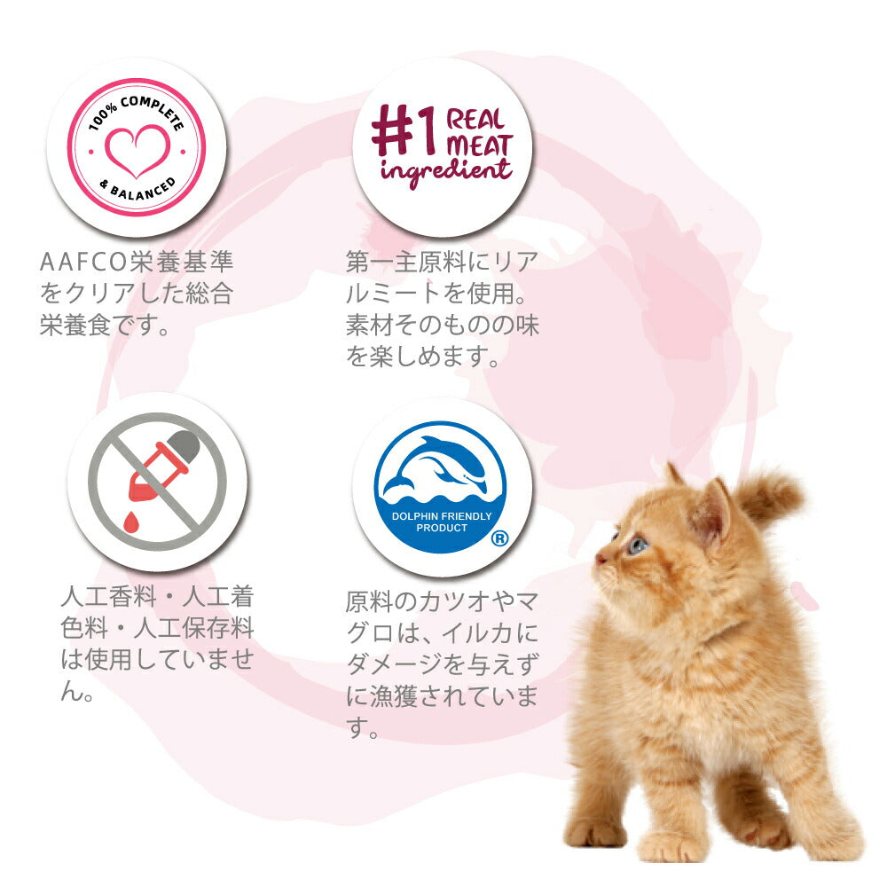 シグネチャー7 Signature7 パティ ウイークリーパック 80g×7缶 (猫・キャット)[正規品]