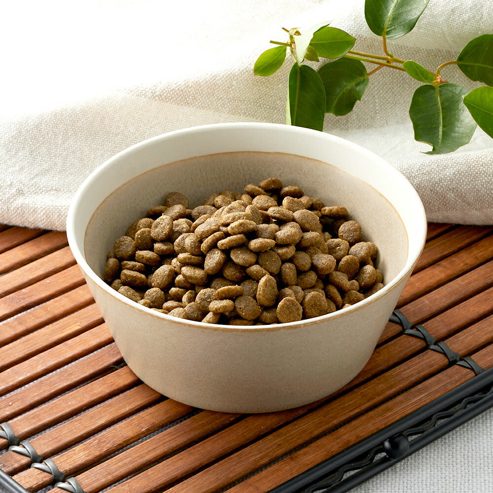 ソルビダ SOLVIDA グレインフリー チキン 室内飼育 子犬用 5.8kg (犬・ドッグ)[正規品]