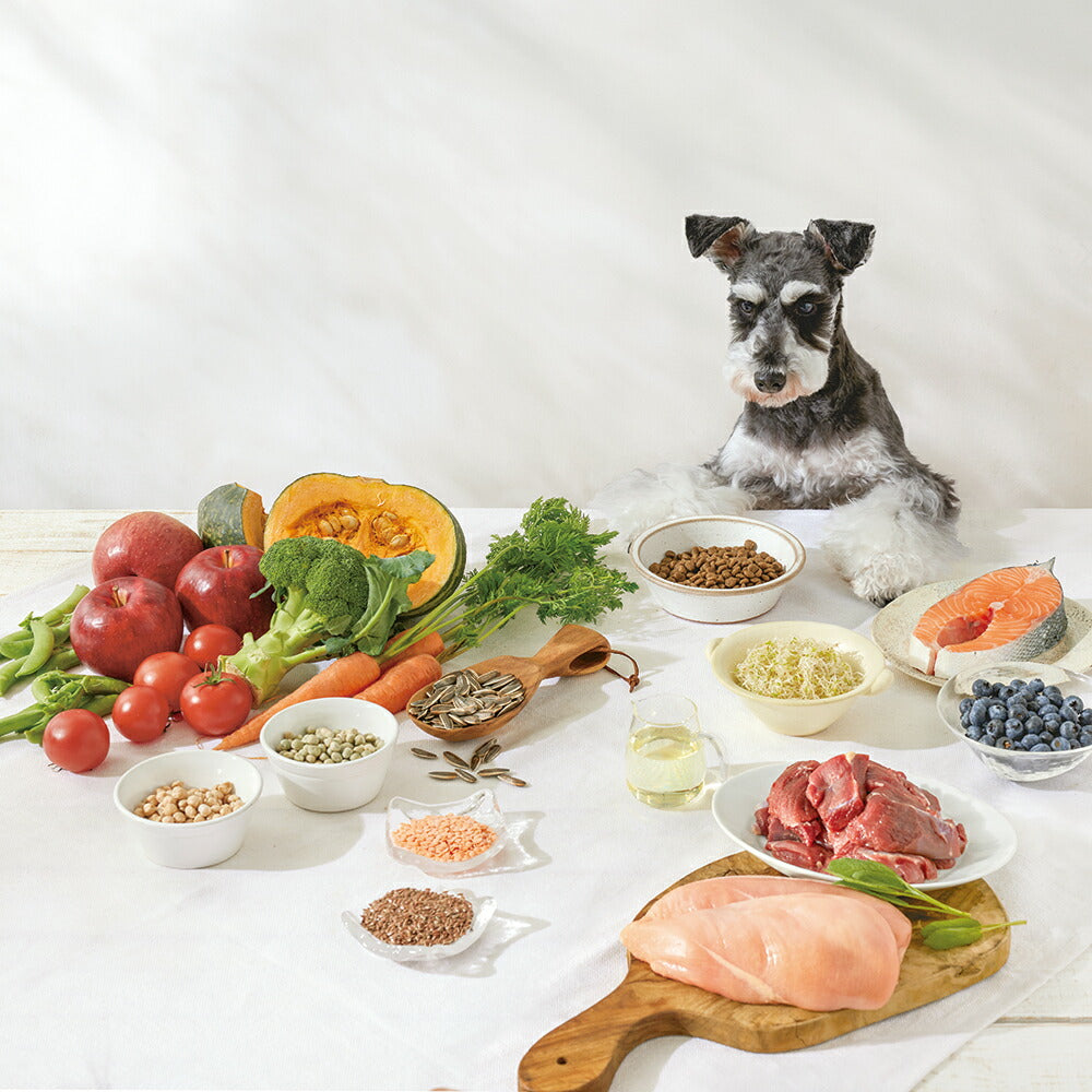 ソルビダ SOLVIDA グレインフリー チキン 室内飼育 7歳以上用 5.8kg (犬・ドッグ)[正規品]