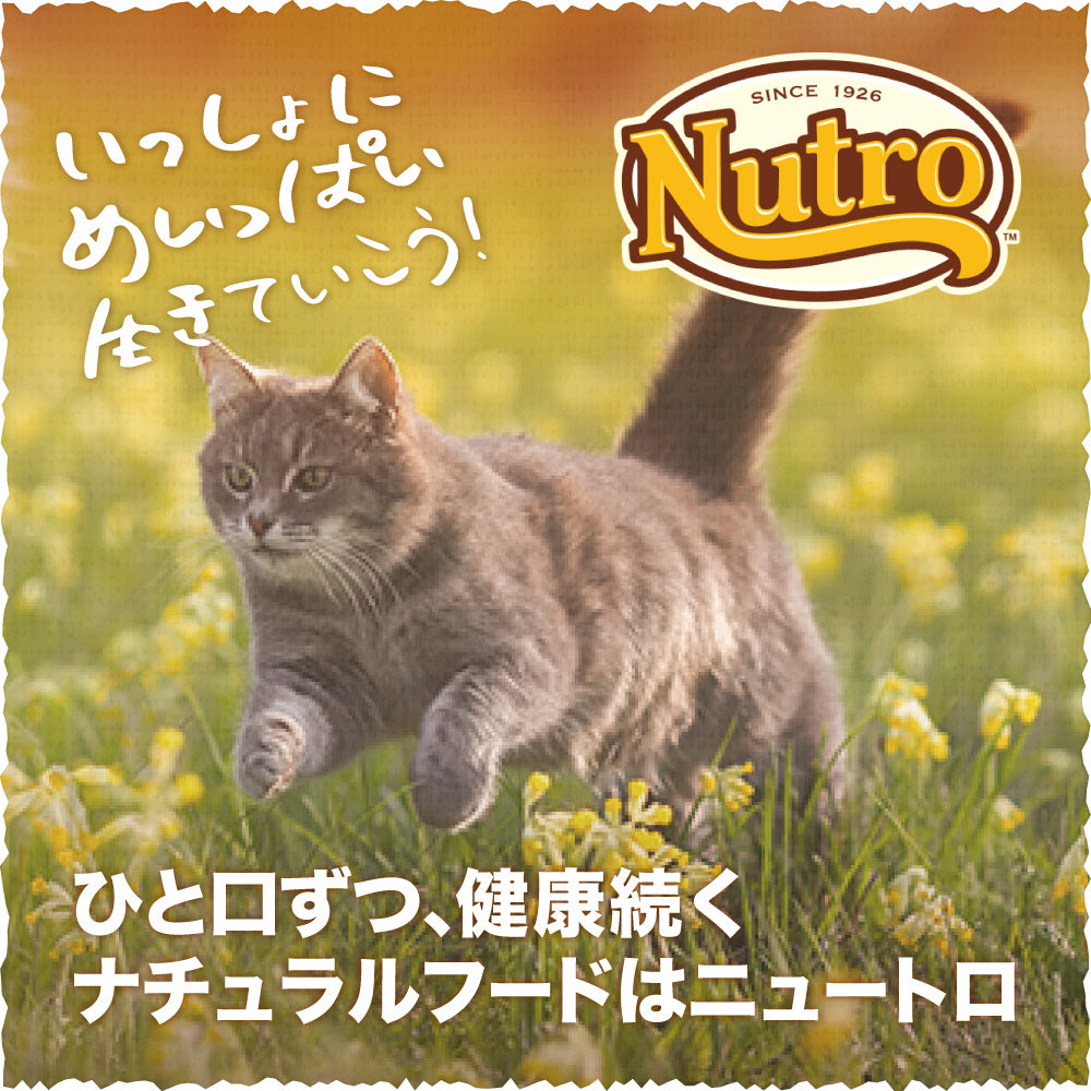 賞味期限2026/4/28]MONGE VetSolution ベッツソリューション 尿中