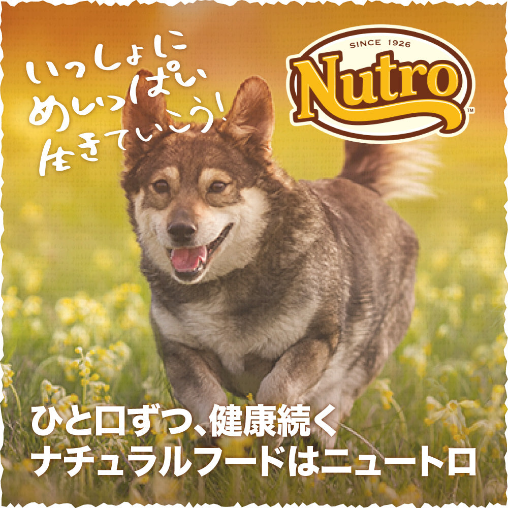 40g×2袋)×48袋】いなば ツインズ 総合栄養食 成犬用 とりささみ レバー