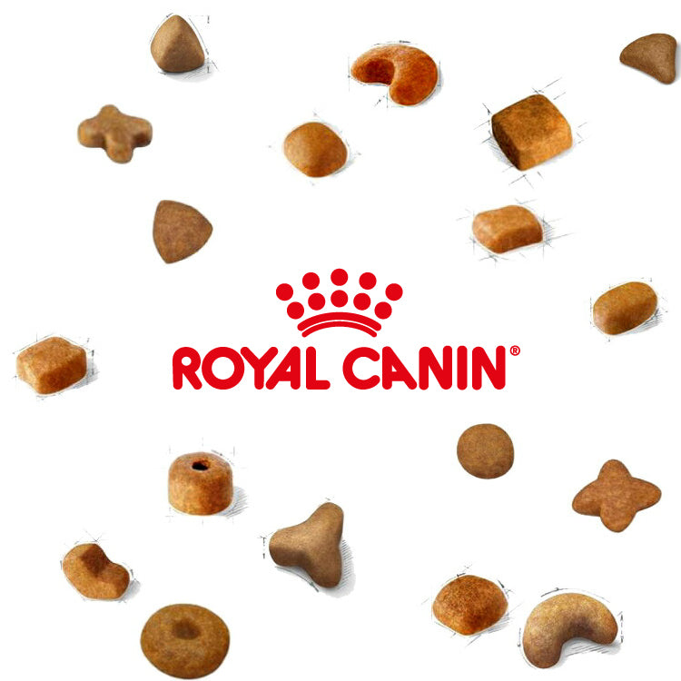 ロイヤルカナンのヘルスニュートリションコンテンツ