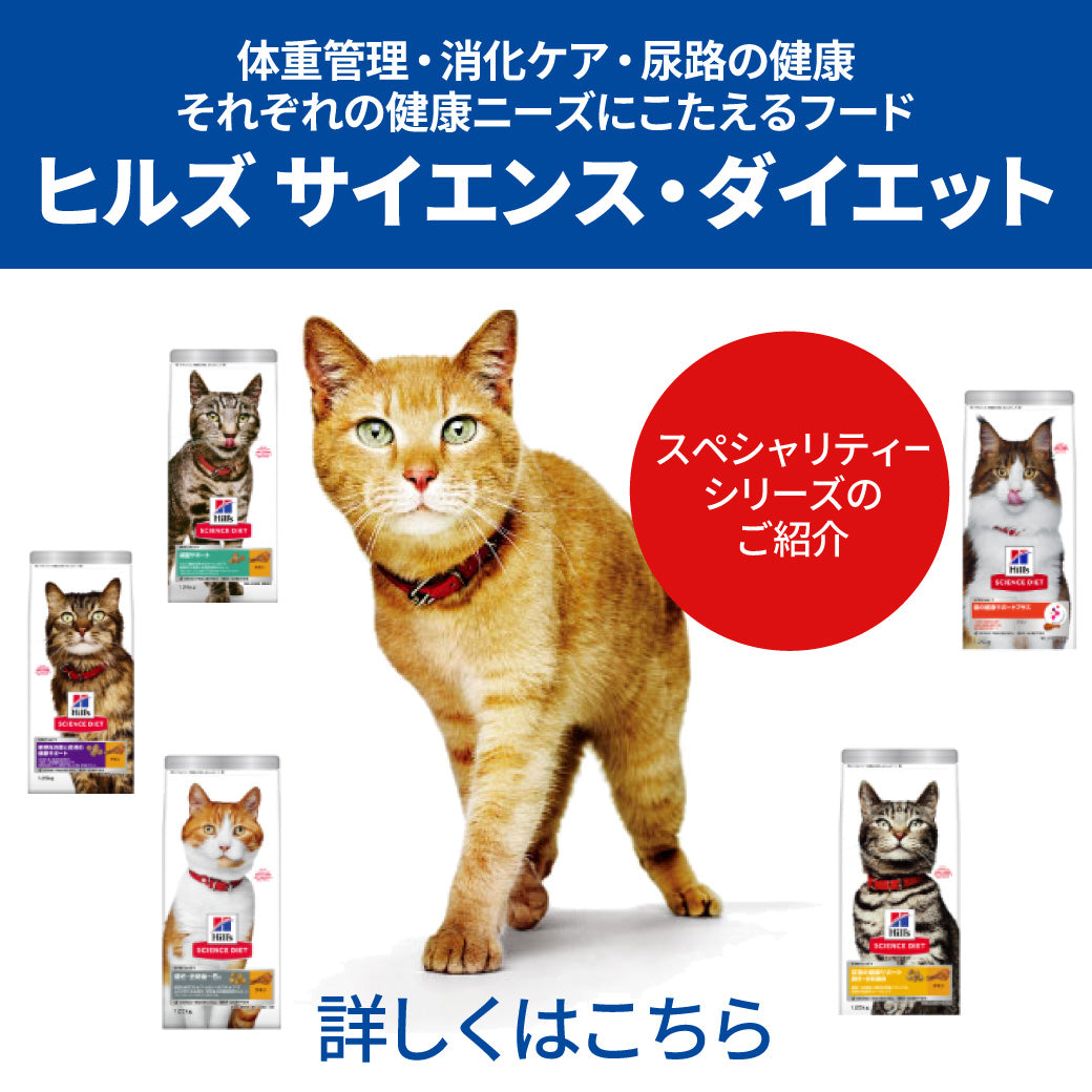 ヒルズ w/d ダブリューディー 4kg ドライフード 猫用 糖尿病 消化 体重