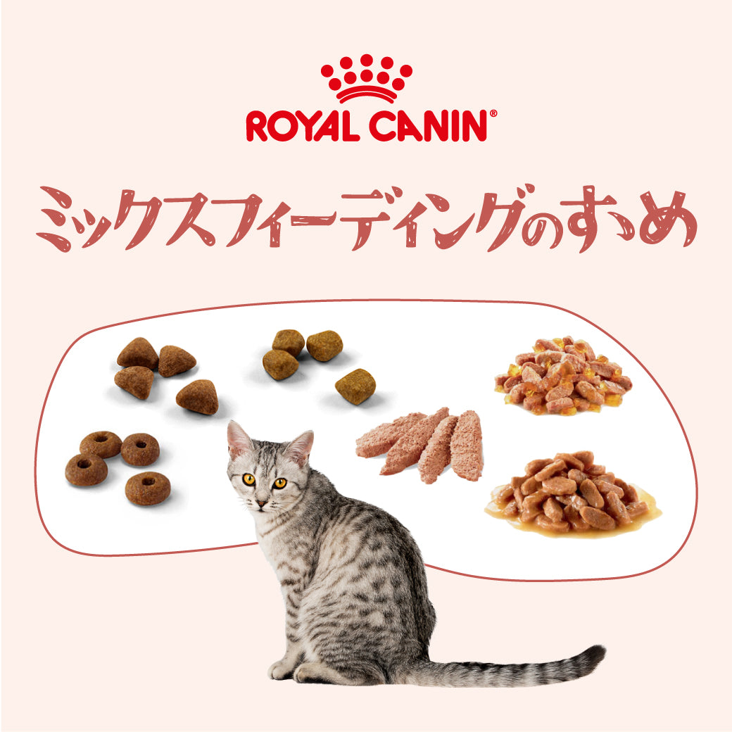 すべてのロイヤルカナン