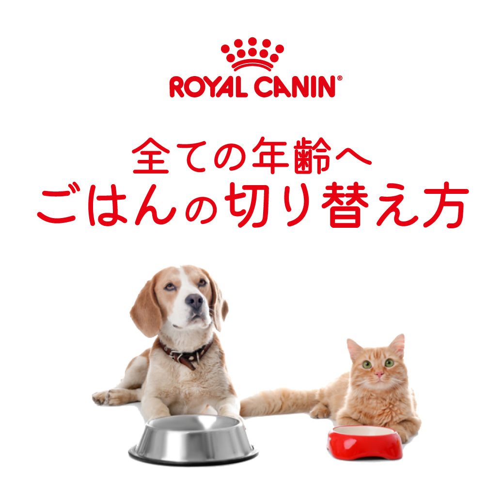 すべてのロイヤルカナン