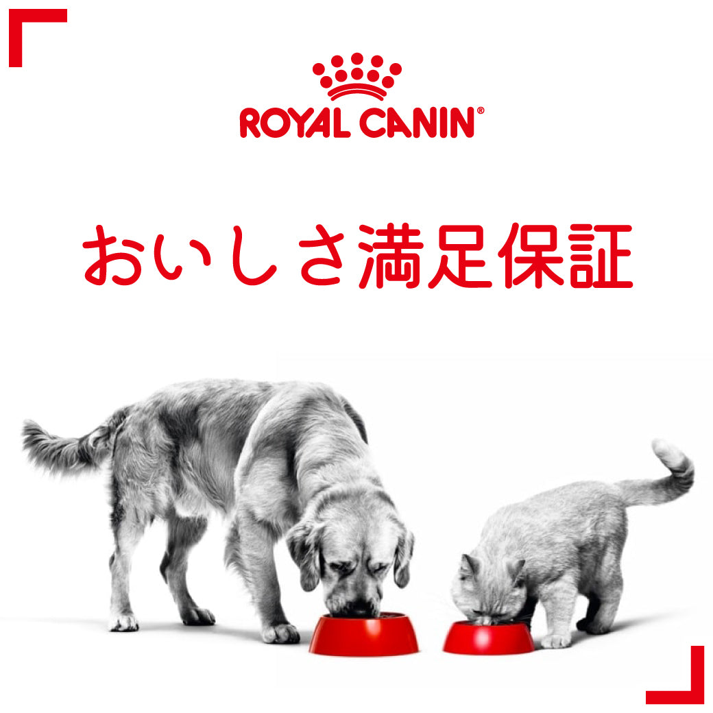ロイヤルカナン FHN セイバー エクシジェント 食事にこだわりがある成