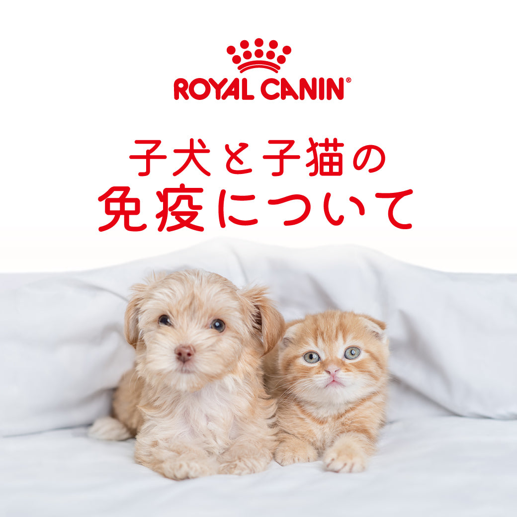 すべてのロイヤルカナン