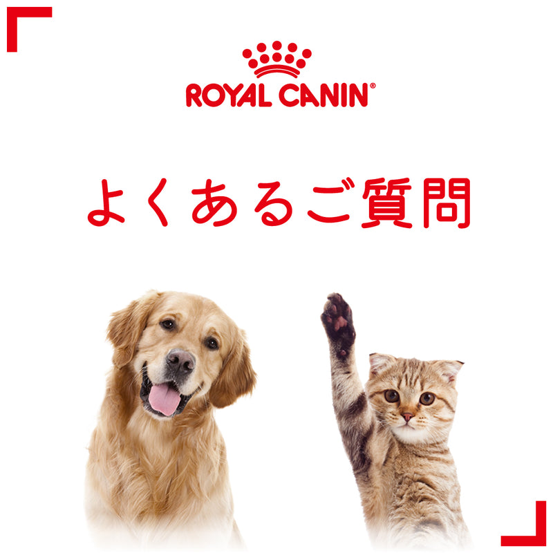 ロイヤルカナンについてのよくあるご質問はこちら