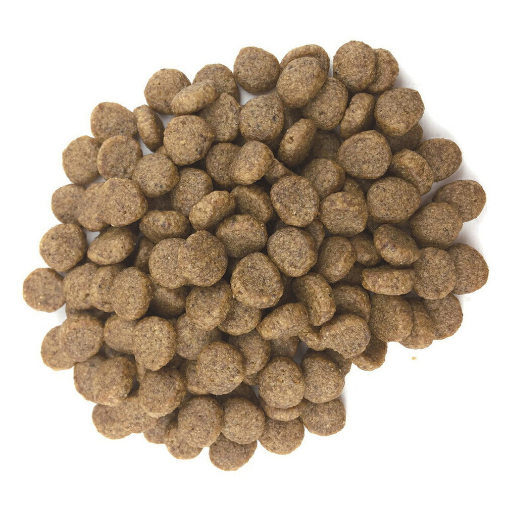 森乳 スーパーゴールド フィッシュ＆ポテトプラス 関節の健康 800g (犬・ドッグ)