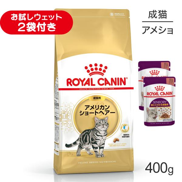 ロイヤルカナン FBN アメリカン ショートヘアー 成猫用 生後12ヵ月齢から12歳まで 400g (猫・キャット)[正規品]