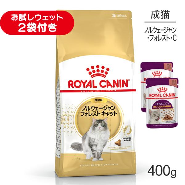 ロイヤルカナン FBN ノルウェージャン フォレスト キャット 成猫用 生後12ヵ月齢から12歳まで 400g (猫・キャット)[正規品]